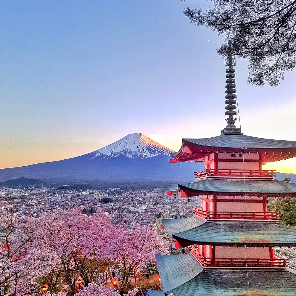 Japan Dream Trip