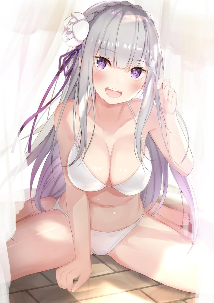 Sexy Emilia Cosplay